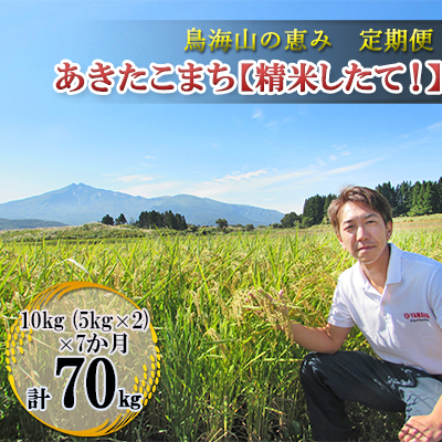 あきたこまち 秋田県産 鳥海山の恵み 精米したて 農家直送 あきたこまち【計70kg 10kg(5kg×2)×7回】【定期便】