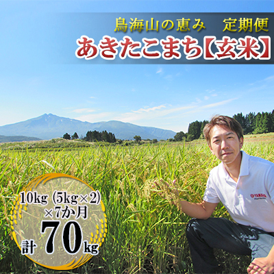 あきたこまち 秋田県産 鳥海山の恵み 玄米 農家直送 あきたこまち【計70kg 10kg(5kg×2)×7回】【定期便】
