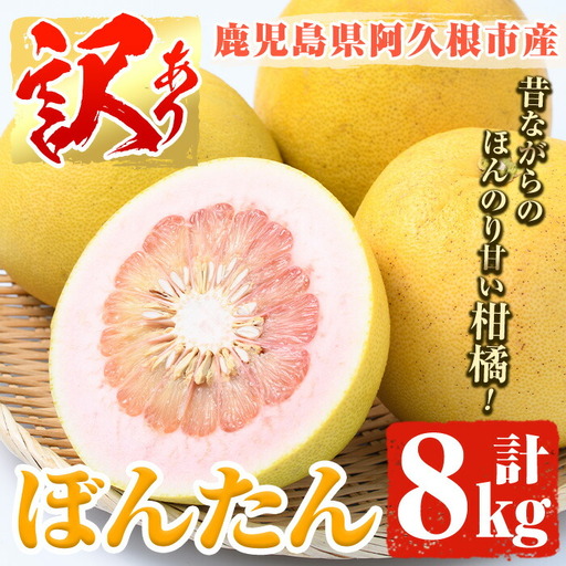 [先行予約受付中!2027年1月上旬以降順次発送予定]訳あり!鹿児島県阿久根市産ボンタン(計8kg)国産 ぼんたん 文旦 柑橘 果物 フルーツ[松永青果]akn053-02
