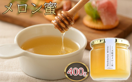 天使音（あまね）メロン蜜 400g ジャム 果物類 メロン青肉 メロン味のジャム 