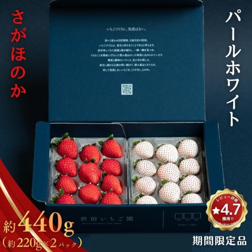 いちご 佐賀県産いちご さがほのか&パールホワイト 紅白セット[1〜4月発送]:B140-008