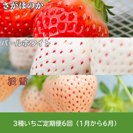 【定期便6回】佐賀県産 ３種いちご【2027年1月～6月発送】イチゴ 苺：B775-001