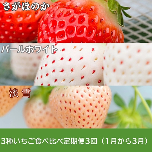【定期便3回】佐賀県産 ３種いちご食べ比べ【2027年1～3月発送】苺 イチゴ：B395-007