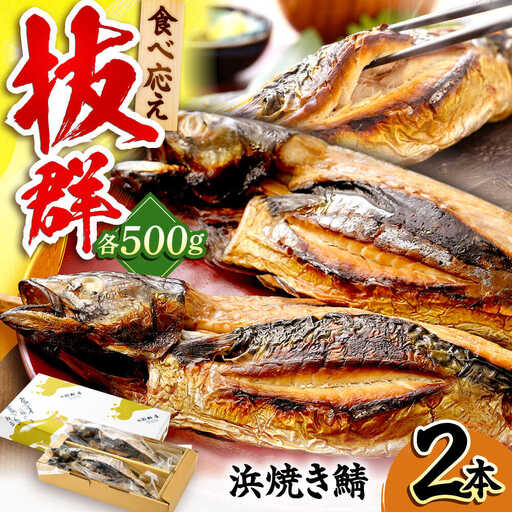 若狭小浜 桝屋の浜焼き鯖2本入り [BFAO008] 【配送不可地域：離島】 