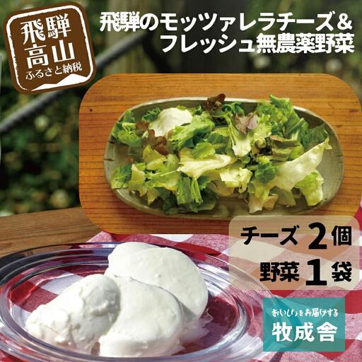 飛騨の新鮮モッツァレラ＆フレッシュ野菜 お届けセット モッツァレラチーズ DF001