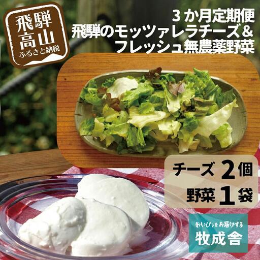 [牧成舎定期便 3カ月]飛騨の新鮮モッツァレラ&フレッシュ野菜 セット 3回お届け モッツァレラチーズ