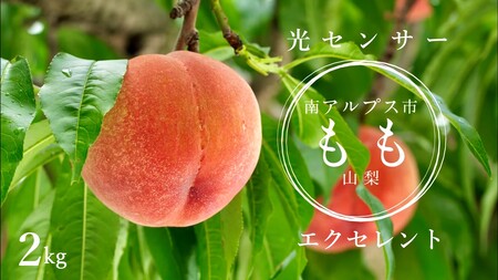 【2027年(令和9年)発送先行予約】来年発送！！光センサー桃「エクセレント」約2kg ALPAA013