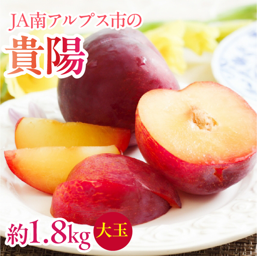 [2027年(令和9年)発送先行予約]来年発送!!すもも「貴陽」大玉約1.8kg ALPAA023 | すもも 山梨県産すもも 貴陽 高評価すもも 甘いすもも 南アルプス市産すもも