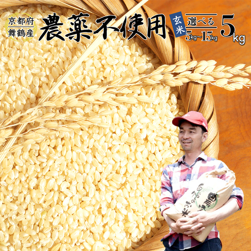 令和7年度産 棚田米 玄米 5kg コシヒカリ 栽培期間中 農薬不使用
