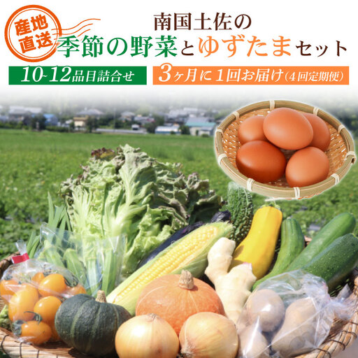 【3ヶ月毎 全4回】土佐の季節野菜と卵セット 野菜 定期便