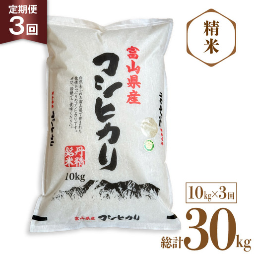 米 令和8年産 コシヒカリ 精米 10kg 3回 定期便