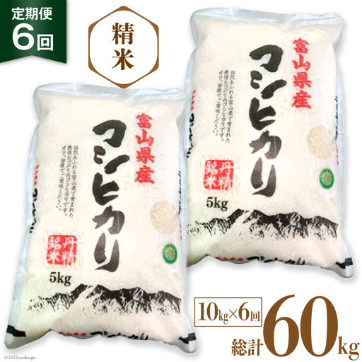 米 令和8年産 コシヒカリ 精米 10kg 6回 定期便