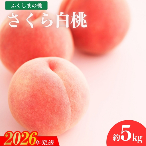 No.1519福島のもも「さくら白桃」約5kg【2026年発送 先行予約】