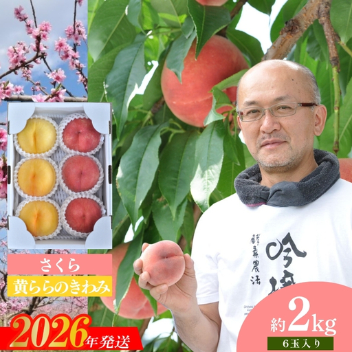 No.1523 吟壌桃「さくら＆黄ららのきわみ」約2kg【2026年発送】