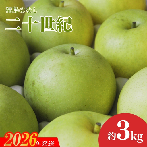 No.1727梨　なし　二十世紀　約3kg【2026年発送】
