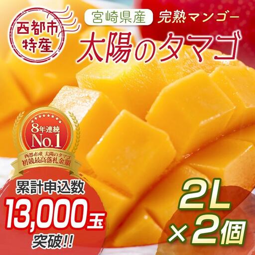 先行予約】最高級ブランド『太陽のタマゴ』2L×2個【糖度15度以上】宮崎