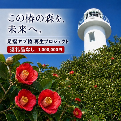 足摺ヤブ椿再生プロジェクト 応援一口 5,000円（1,500円分） ※返礼品なし※ 自然保護 椿 つばき ツバキ 藪椿 ヤブツバキ クラウドファンディング 募金 環境保護 SDGs 高知県【R01751】