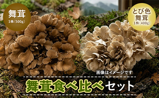 舞茸食べ比べセット F2Y-2374
