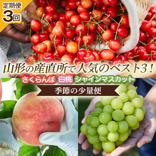 [定期便3回]山形の産直所で人気のベスト3!さくらんぼ・白桃・シャインマスカット[季節の少量便] くだもの 果物 フルーツ 山形 山形県 山形市 FZ25-948