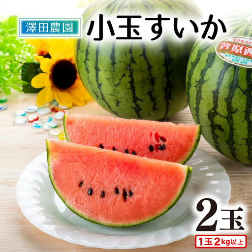 [先行予約]小玉すいか 愛娘(まなむすめ) 2kg以上 2玉入 [大玉のようなシャリ感!皮際まで抜群に甘い] / 期間限定 あわら 果物 フルーツ 産地直送 スイカ 小玉スイカ ※2027年6月上旬より順次発送 [aw039-a017]