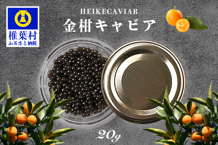 [世界三大珍味×日本三大秘境]HEIKE CAVIAR 金柑キャビア 20g[産地直送][簡易包装] 国産 チョウザメ 金柑 キャビア 20g 魚卵 魚介 珍味 SZ-127
