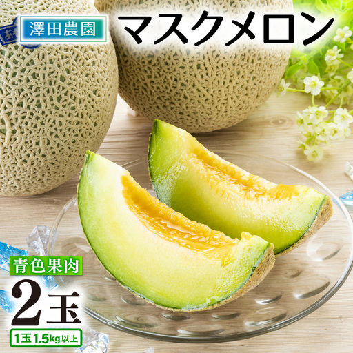 【先行予約】青肉マスクメロン（1.5kg以上 2玉入）味も見た目も抜群！アールスメロン  / あわら 期間限定 果物 フルーツ 産地直送 青肉 人気 ギフト 贈答 ※2027年7月上旬より順次発送  [aw039-a021]