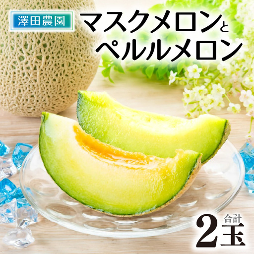 [先行予約]マスクメロン・ペルルメロン 2種セット(2玉入)大玉で食べ応え抜群!/ あわら 期間限定 青肉 果物 フルーツ 産地直送 ※2027年7月上旬より順次発送 [aw039-a023]