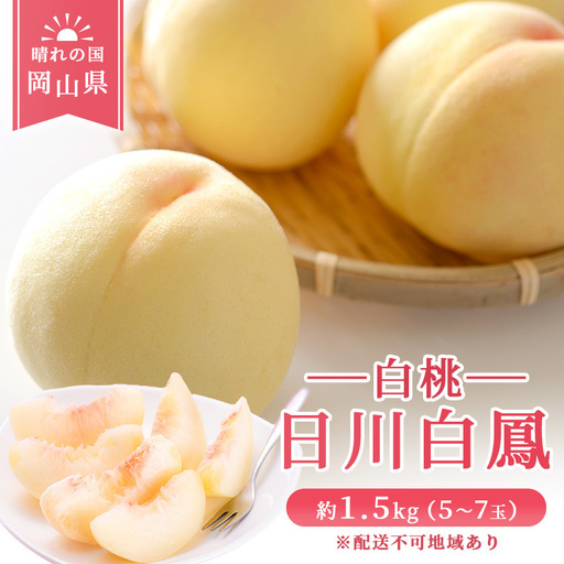 [ 2027年 先行予約] 桃 岡山県産 日川 白鳳 (白桃) 約1.5kg(5〜7玉) [2027年6月下旬-7月上旬頃出荷] 白桃 岡山 スイーツ フルーツ 果物 先行予約 数量限定 期間限定 岡山 里庄町