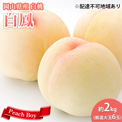[ 2027年 先行予約] 桃 岡山県産 数量限定50箱 極撰 白鳳 ( 白桃 ) 2kg 厳選 大玉 6玉 [2027年7月上旬-7月中旬頃出荷]岡山 スイーツ フルーツ 果物 先行予約 数量限定 期間限定 岡山 里庄町