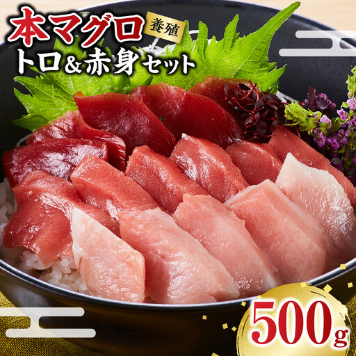本マグロ(養殖)トロ 赤身 セット 500g まぐろ マグロ[KS12]