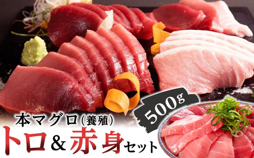 本マグロ（養殖）トロ＆赤身セット 500g［KS12］ まぐろ 年内発送受付中