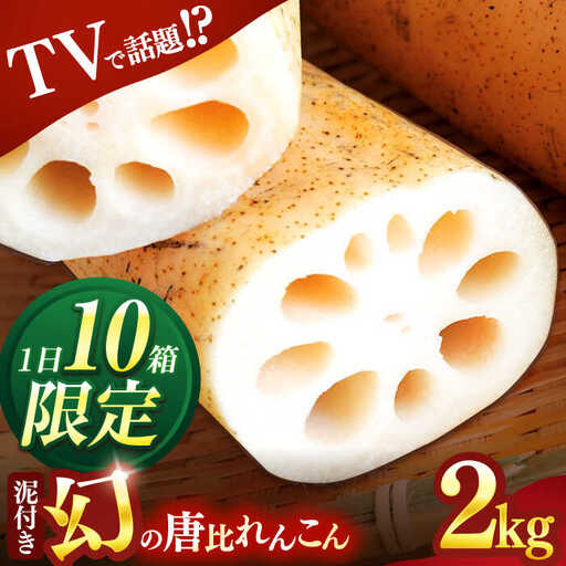 幻の唐比れんこん 2kg AHCA002 れんこん