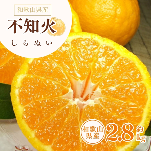 デコ不知火(デコポン) 約2.8kg / サイズおまかせ ※2027年2月上旬〜2027年4月上旬頃に順次発送予定(お届け日指定不可) 紀伊国屋文左衛門本舗[sgtb421C]