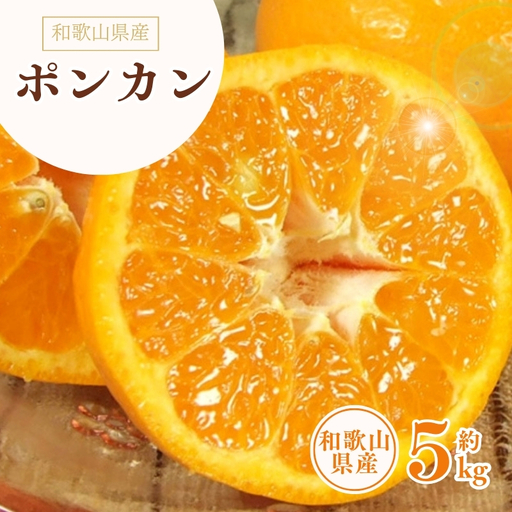 ポンカン 約5kg / サイズおまかせ ※2027年1月下旬〜2027年2月下旬頃に順次発送予定(お届け日指定不可) 紀伊国屋文左衛門本舗 [sgtb451B]
