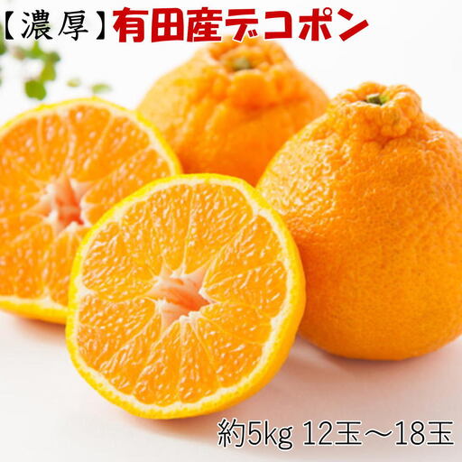 【お味濃厚】紀州有田産の大玉デコポン約5kg（12玉～18玉入り・青秀以上）※2027年1月中旬～2027年3月中旬頃順次発送【tec811B】