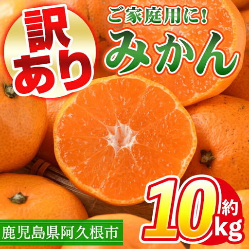[先行予約受付中!2026年10月中旬以降順次発送予定] 訳あり!鹿児島県産みかん(計約10kg) 大容量 傷あり 不揃い 国産 柑橘 果物 くだもの フルーツ 旬 期間限定 数量限定 訳アリ 規格外 ご家庭用 ご自宅用 ミカン ノーワックス[三笠農業生産]akn051-04