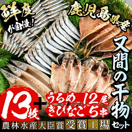 鹿児島県産！干物詰め合わせ(5種)国産 九州産 魚介 ひもの 干物 乾物 鯵 あじ かますな きびなご ウルメ セット 詰合せ【又間水産】akn001-02