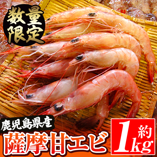 数量限定!鹿児島県阿久根産 薩摩甘エビ(約1kg・40〜70尾) 国産 阿久根市産 えび 海老 急速冷凍 冷凍配送 魚貝類 魚介類 海産物 [濱崎魚類]akn023-05