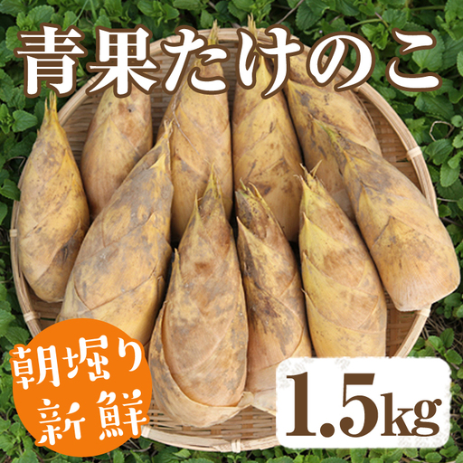 [先行予約受付中!2027年2月下旬以降順次発送予定] [平日着]朝堀り青果たけのこ(約1.5kg) 国産 新鮮 タケノコ 青果 竹の子 筍 野菜 春 旬 期間限定 数量限定 [上野食品]akn008-04-A