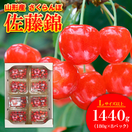 さくらんぼ佐藤錦 Lサイズ 1440g(180g×8パック) 【令和9年産先行予約】FS25-562 くだもの 果物 フルーツ 山形 山形県 山形市 2027年産