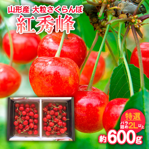 山形産 大粒さくらんぼ 紅秀峰 特選 バラ詰め 2L以上 約600g 【令和9年産先行予約】FS25-710 くだもの 果物 フルーツ 山形 山形県 山形市 2027年産