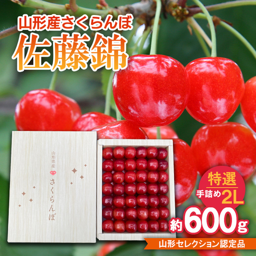 さくらんぼ 佐藤錦 特選 手詰め 2L 約600g 山形セレクション認定品 【令和9年産先行予約】FS25-718 くだもの 果物 フルーツ 山形 山形県 山形市 2027年産