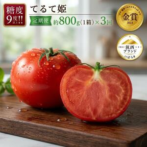 先行予約【定期便 3ヶ月】フルーツトマト 約800g 【7～13玉/1箱】 てるて姫 2027年産