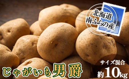 南ふらの産 じゃがいも 男爵 約10kg[サイズ混合] 北海道 南富良野町 じゃがいも ジャガイモ 男爵 2026年発送 先行予約 ポテト 野菜