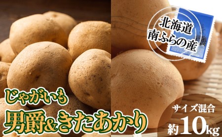 南ふらの産 じゃがいも 男爵 & きたあかり 約10kg[サイズ混合] 北海道 南富良野町 じゃがいも ジャガイモ キタアカリ 北あかり 2026年発送 先行予約 ポテト 野菜