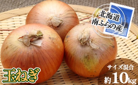 南ふらの産 玉ねぎ 約10kg [サイズ混合] 北海道 南富良野町 2026年発送 先行予約 北海道 南富良野町 玉葱 玉ネギ 玉ねぎ ネギ ねぎ 先行予約 野菜 たまねぎ