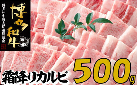 A1368.[博多和牛]A4・A5等級こくうま霜降りカルビ焼肉500g[限定2万パック]早いもの勝ち!