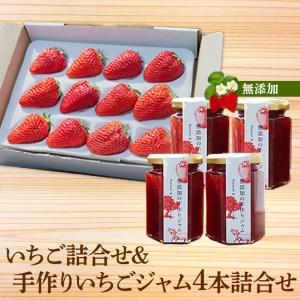 紅ほっぺ いちご 詰合せ デラックス (1トレー入り) ＆ 無添加 の 手作り いちごジャム (4本詰合せ) 【令和3年12月中旬より順次発送】