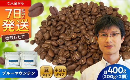 ブルーマウンテンNo.1 コーヒー豆 200g×2個(豆) / コーヒー ドリップ 豆 / Coffee SAKURA [BBAB008]