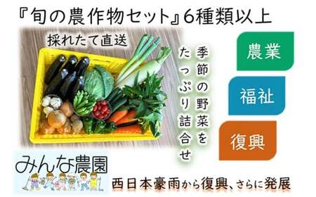 [思いやり型返礼品]倉敷市真備町みんな農園旬の農産物セット[農産物 野菜 農園 新鮮 畑 やさい 美味しい おいしい 真備町 岡山県 倉敷市 おすすめ 人気]